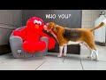 ELMO Vs FUNNY DOGs PRANK Funny Dogs Louie Marie