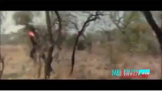 Download lagu Rambo serang mp3