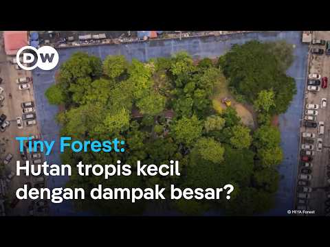 Hijaukan perkotaan dengan konsep "Tiny Forest": Menanam hutan tropis di wilayah urban | DW Inovator
