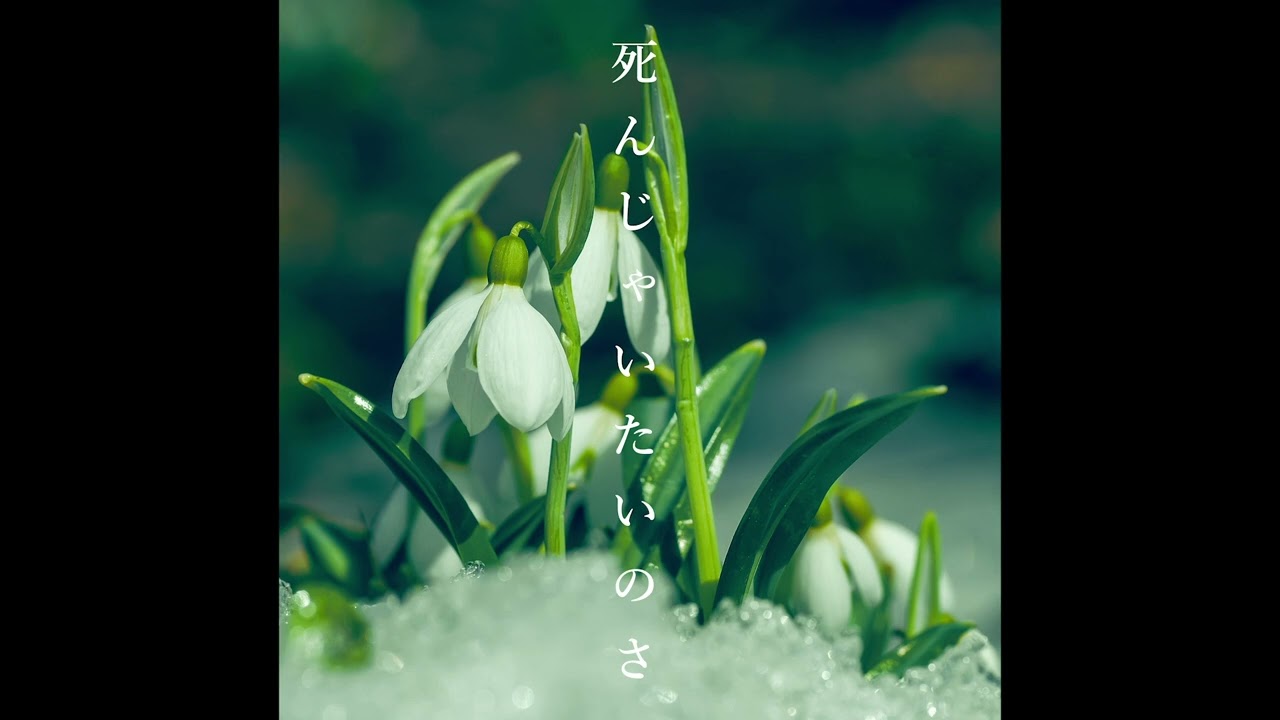 BAK - 死んじゃいたいのさ (Audio)