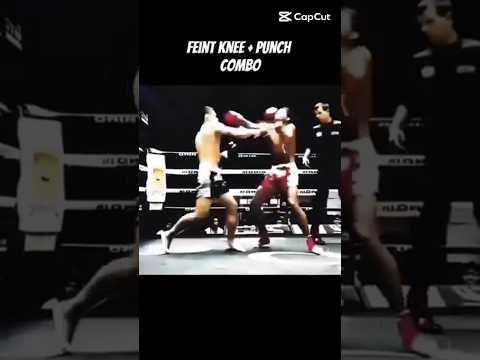 Feint Knee #shortvideo #shortsvideo #tutorial #mma #selfdefense #fight #ytshorts #taekwondo #shorts