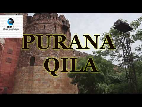 SIDDHAARTH BHARDWAJ portfolio video1