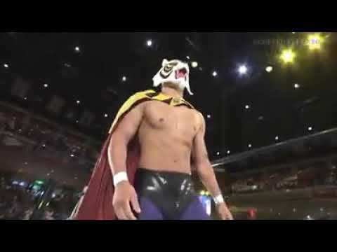 Curioso #29 L'Uomo Tigre è tornato! Giappone in delirio!