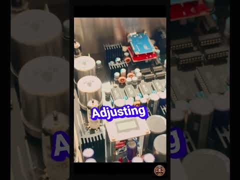 A $20,000 Audiophile DAC #hifiaudio #audiophile #audio #shorts