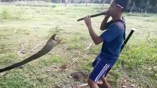 Download lagu Pawang ular dari aceh mp3