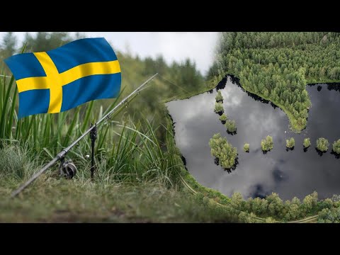 Karpfenangeln in Schweden an einem kleinen Waldsee