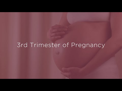 The Third Trimester of Pregnancy