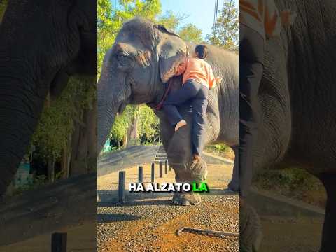 Lui l'ha Aiutata 😍 #viral