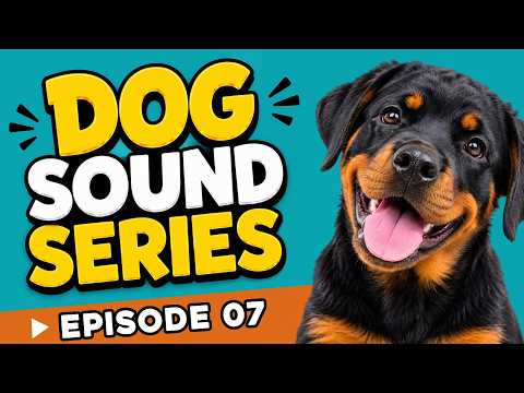 Dog Sound Series 🐶 | Episode 07: 10 Sounds Your Dog Can't Ignore