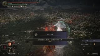約50回挑戦して編み出した作戦とは？！［ミケラの刃　マレニア］