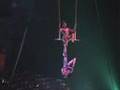 Cirque du Soleil Duo Trapeze Saltimbanco Senchihina twins