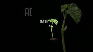 Download lagu Janji || #video #viral #trending #short #youtubeshorts #youtube #status #movie mp3