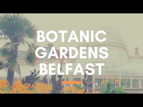 BOTANIC GARDENS BELFAST - Near Belfast City Centre