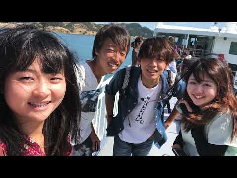 bilingua spot   HD 1080p