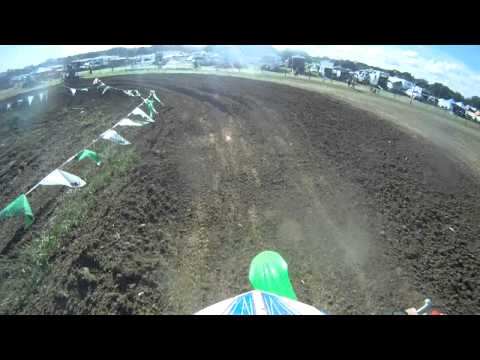 Gatorback Gold Cup 450C