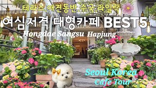 4K 수국과 라일락꽃 가득한 테라스에  애견동반 가능한   홍대 상수 합정 여심저격 동화느낌 대형카페 베스트 5/Seoul Hongdae Sangsu Cafe Best 5/