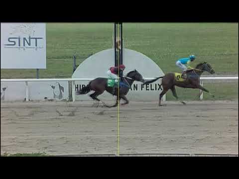 210401 c02 - 1° TRICERATOPS - CARRERAS SINT PAYSANDU