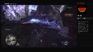防具無しで上位のネルギガンテに挑戦！