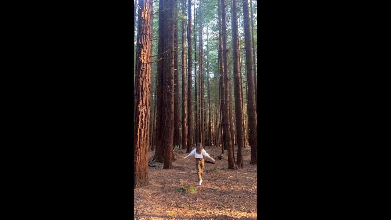 YouTube Short thumbnail