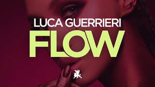 Luca Guerrieri - Flow video