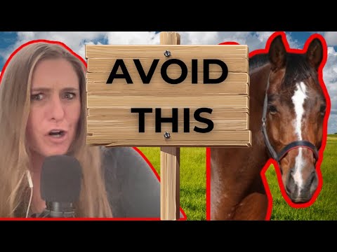 BEGINNER HORSE RIDING MISTAKES [Top 3]