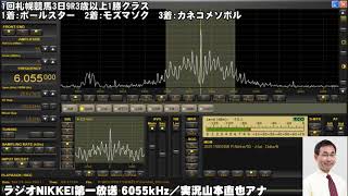 【ラジオNIKKEI第一放送】2021年6月19日＜1回札幌競馬3日＞STV賞【競馬ラジオ】
