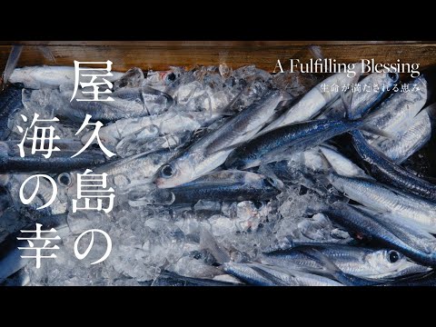 【海の幸】A Fulfilling Blessing 生命が満たされる恵み