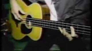 Robyn Hitchcock and the Egyptians "Birds in Perspex acoustic