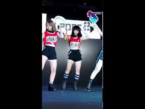 Baby Pig (มิวสิค/FANCAM) - Watergate Pavilion K-POPS Cover Dance Contest 2016 (30 ก.ค. 59)