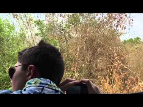 Riding the Thai-Burma railway from the River Kwai