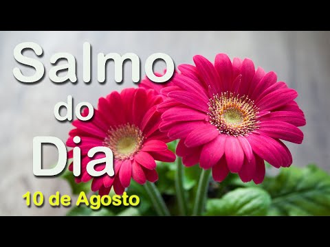 Salmo do Dia 10 de Agosto de 2020 | Salmo de Hoje