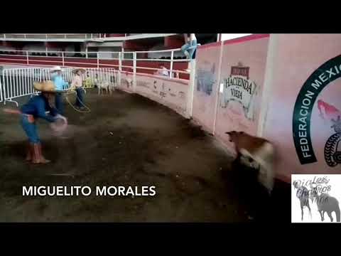 piales infantiles a borregas esc. infantil de charreria pabellon don vasco