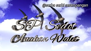 Download lagu SP. Sedot Anakan Walet mp3