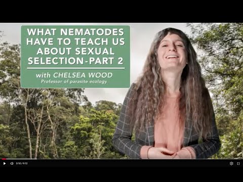 What nematodes have to teach us about sexual selection - Part 2