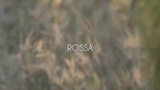 Rossa - Satu Hal Yang Bodoh (Lyric Video)