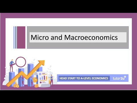 Introduction to Micro and Macroeconomics | Head Start in A-Level Economics