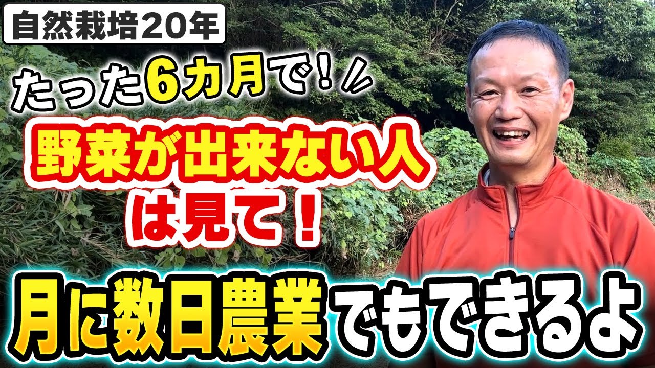 【自然栽培391】野菜が出来ない人!畑の時間がない人!見てみて🌈