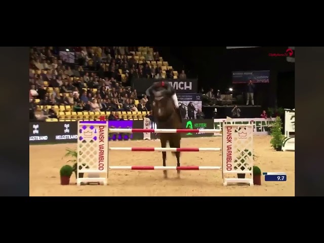 The father of this Frozen Embryo is the CSI 1.60m jumping stallion Casallco with rider Philip RÜping.