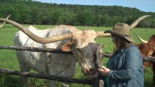 preview picture of video 'Things to See and Do in Graham, Texas'