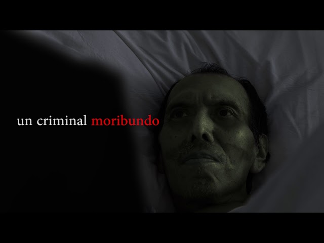 Vídeo relacionado con El hilo de sangre: El quinto caso del comisario Lascano (Serie del comisario Lascano nº 5)