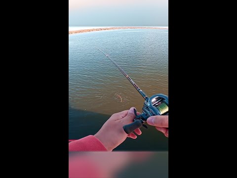 Fall Pike Fishing On BaitCaster
