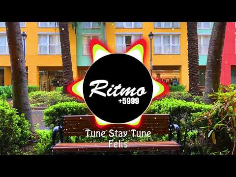 Tune Stay Tune - Felis