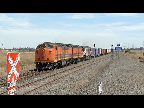 SCT / SBR 7922V Dooen Container Train With CLF4 + CLF2 + CSR006 (11/3/2021) - PoathTV Railways