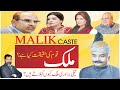 Malik caste history Hindi/Urdu | caste history of #Malik #Alivi #Awan #Teli | तेली जाति का इति