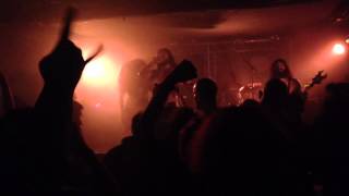 Disgorge - Indulging Dismemberment of a Mutilating Breed (LIVE)