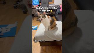 Today’s Convasation with my 😺#cat #cats #katze #funny #catvideos #ねこ #funnycats #catshorts
