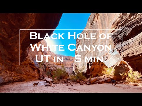 【Speed-Hiking】【Black Hole of White Canyon Trail】 South to North. White Canyon, Utah. 【No Dialogue】