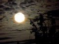 Bad Moon Rising by Jerry Lee Lewis and John Fogarty