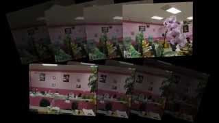 preview picture of video 'Myas Nail Salon in Doylestown, PA 18902 (249)'