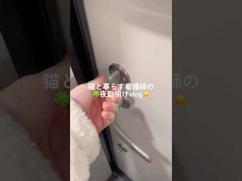 猫と暮らす看護師の夜勤明けvlog☀️